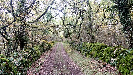 La voie romaine au Pech Briat