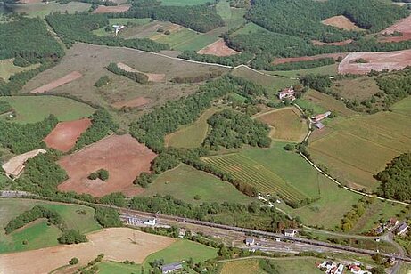 Tersac, le Colombier