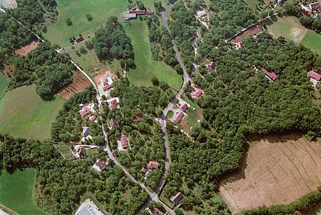 Puy de la Broussette, Al Bos