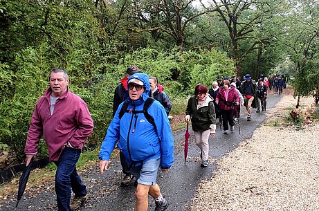 Les marcheurs d'Octobre Rose en plein effort